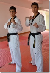 taekwondoudlap
