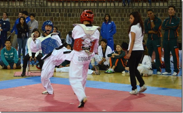 taekwondo udlap (1)