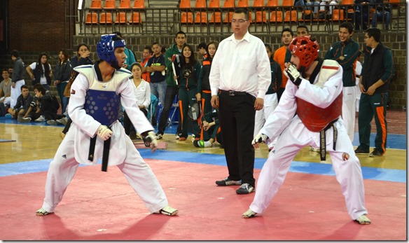 taekwondo udlap (2)