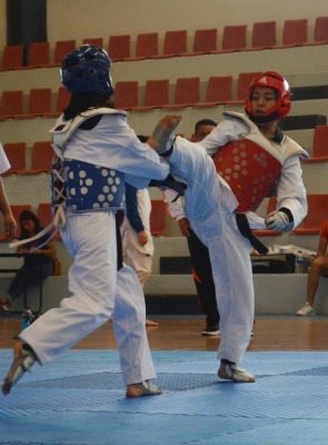 taekwondo azteca udlap