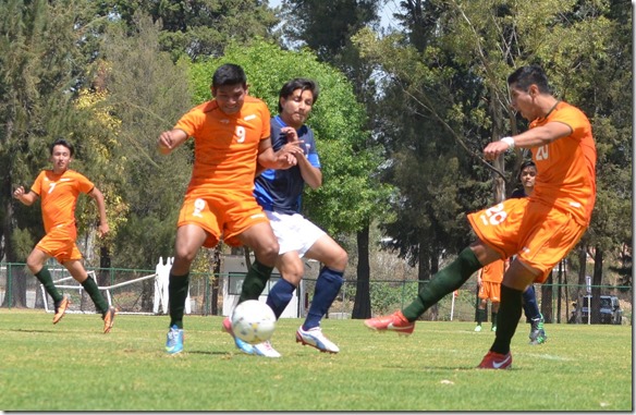 Foto boletin 86-1